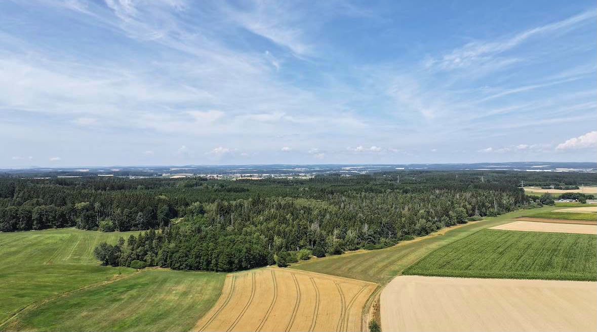 Luftaufnahme des Dorfrands mit angrenzenden Feldern und Wald